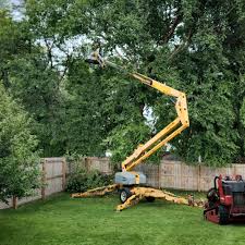 Best Lot and Land Clearing  in St Pete Beach, FL