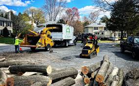 Best Tree and Shrub Care  in St Pete Beach, FL